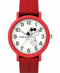 Zegarek dziecięcy Timex TW2T66000