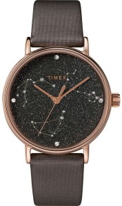 Zegarek damski Timex TW2T87700 na pasku